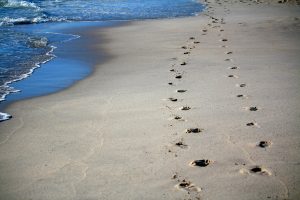 footprints-456732_1280
